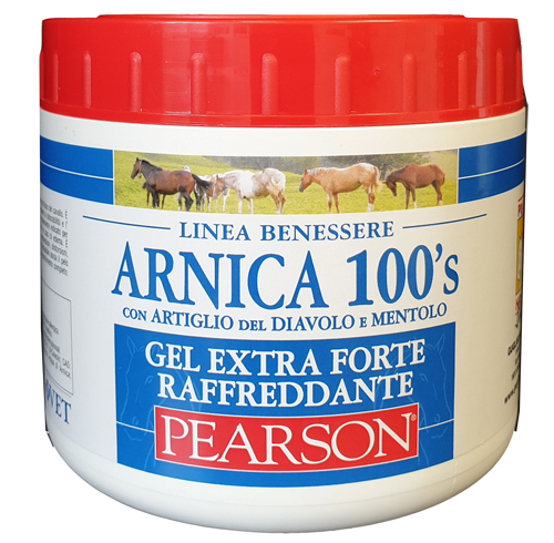 Arnica 100’s Gel Ex Ft Raff500