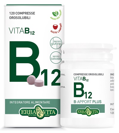 B-apport Vit B12 120cpr Orosol