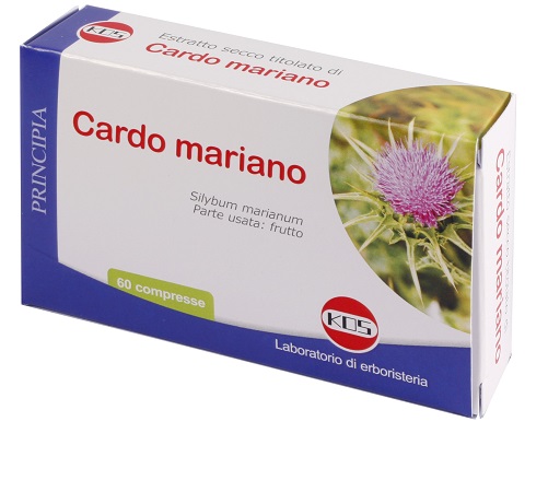 Cardo Mariano Es 60cpr