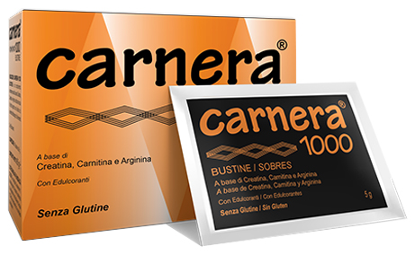 Carnera 1000 18bust