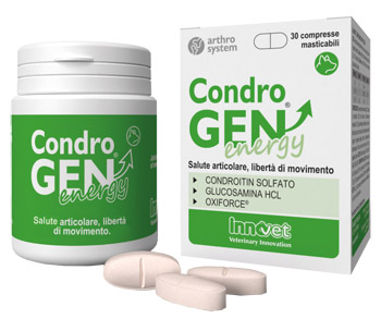 Condrogen Energy 30cpr Mastic