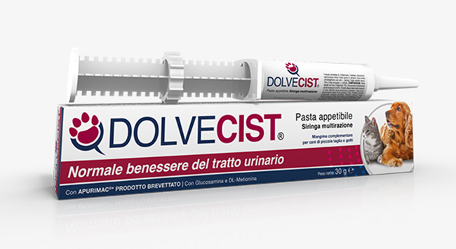 Dolvecist Pasta Siringa 30g