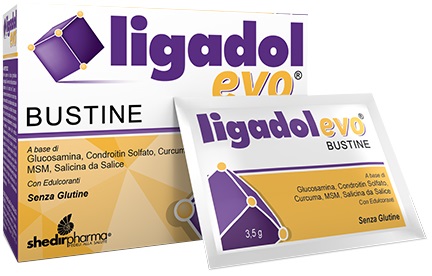 Ligadol Evo 20bust