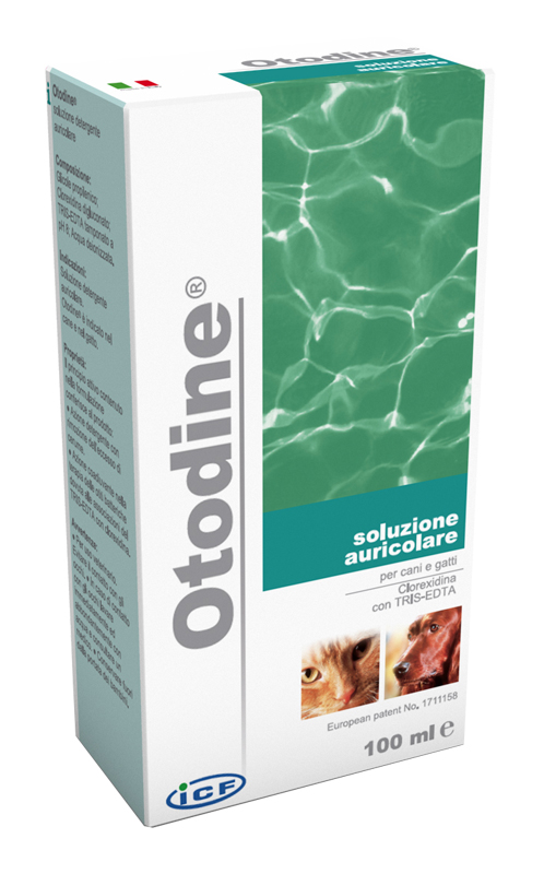 Otodine Det Liq 100ml