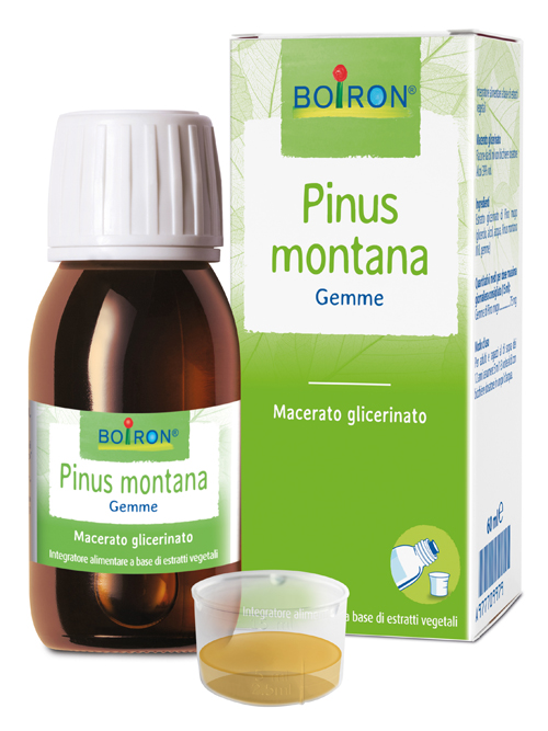 Pinus Montana Boiron Mg 60ml