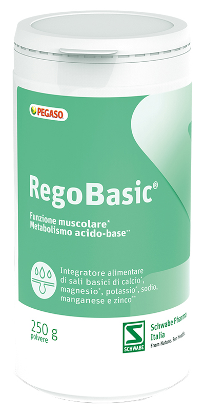 Regobasic Polvere 250g