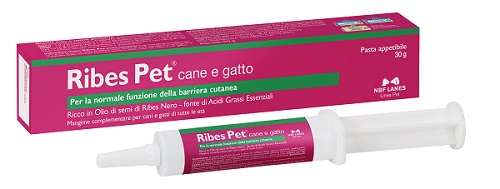 Ribes Pet Pasta 30g