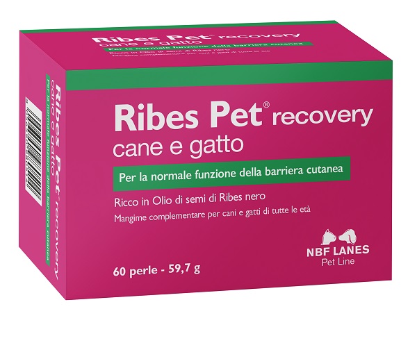 Ribes Pet Recovery 60prl