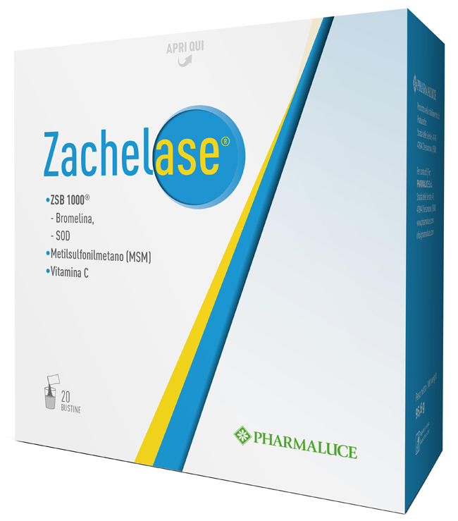 Zachelase 20bust